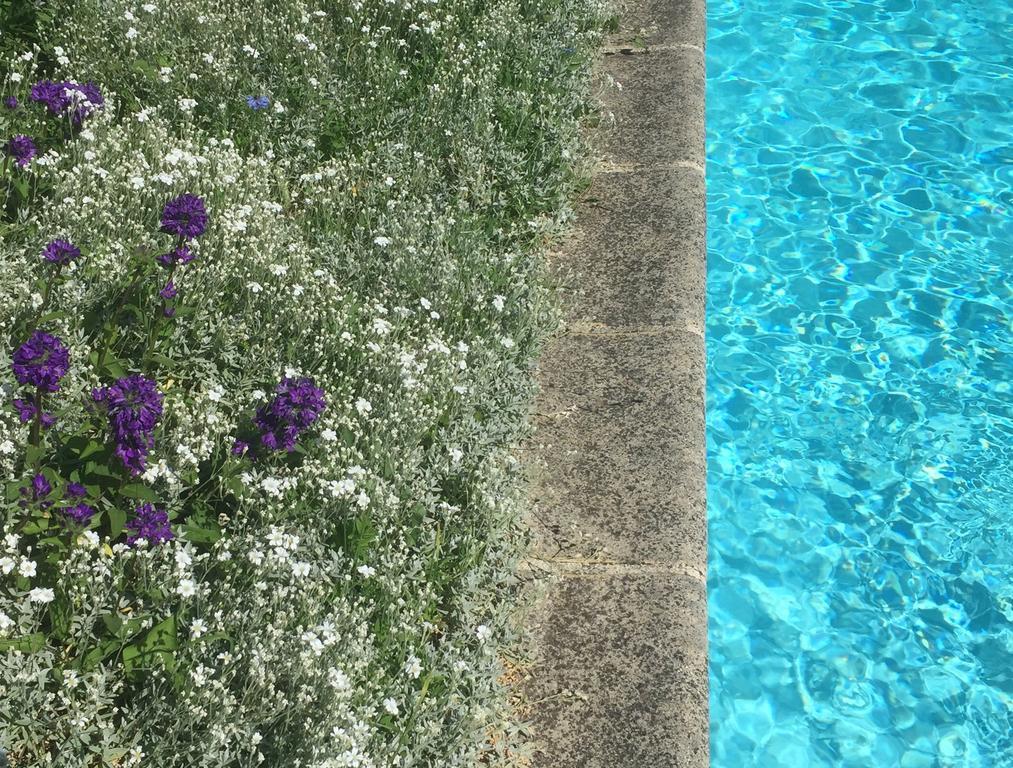 Fleurs De Vignes Piscine Bed & Breakfast Montagny-les-Beaune Luaran gambar